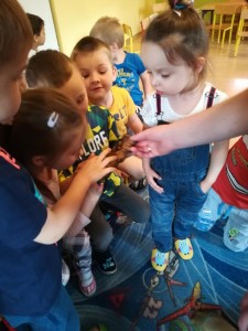 IMG_20180426_105813
